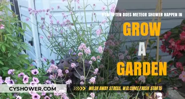 Meteor Showers and Garden Growth: Frequency and Celestial Gardening Tips