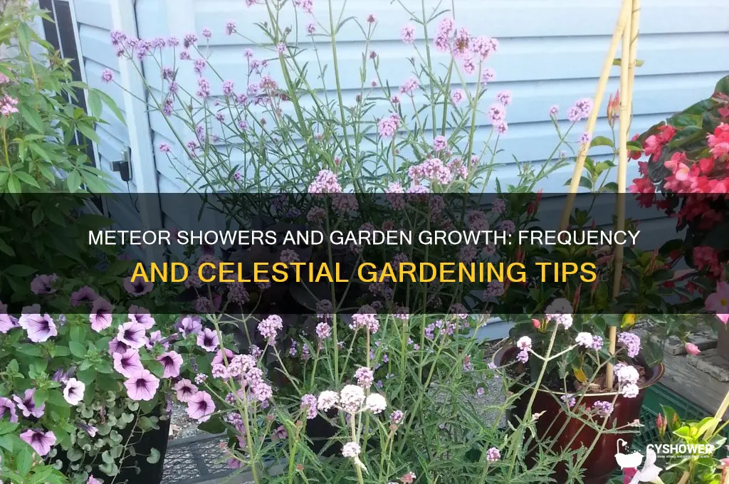 how often does meteor shower happen in grow a garden