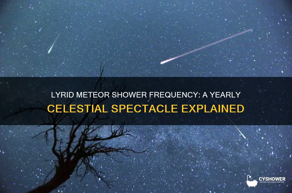 how often does the lyrid meteor shower occur