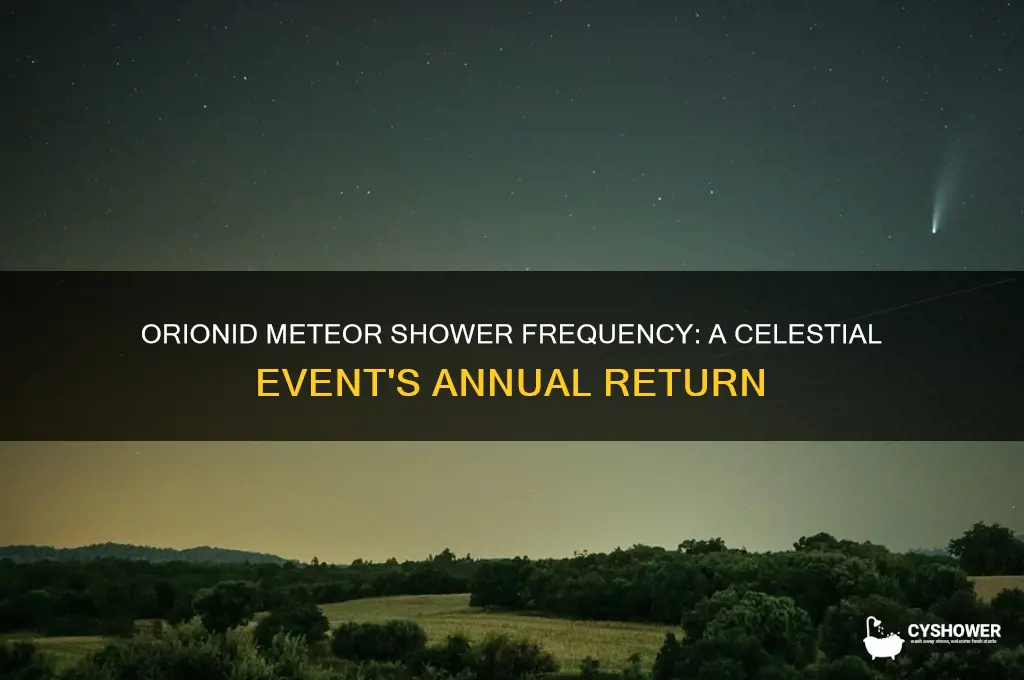 how often does the orionid meteor shower occur