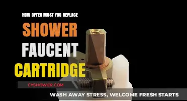 When to Replace Your Shower Faucet Cartridge: A Maintenance Guide