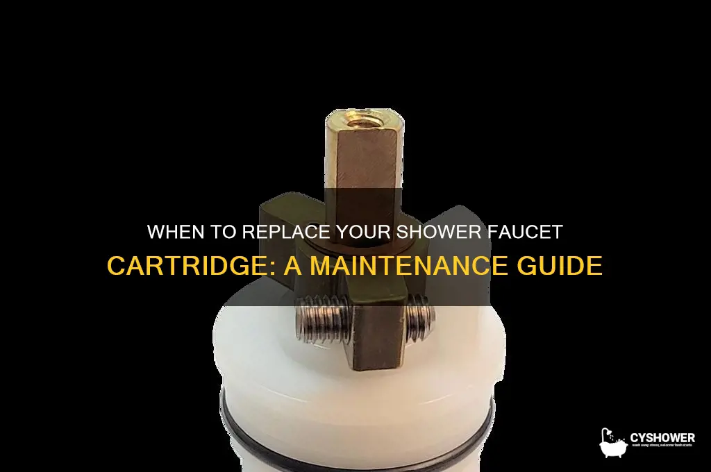 how often must you replace shower faucent cartridge