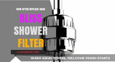 When to Replace Your Aqua Bliss Shower Filter for Optimal Performance