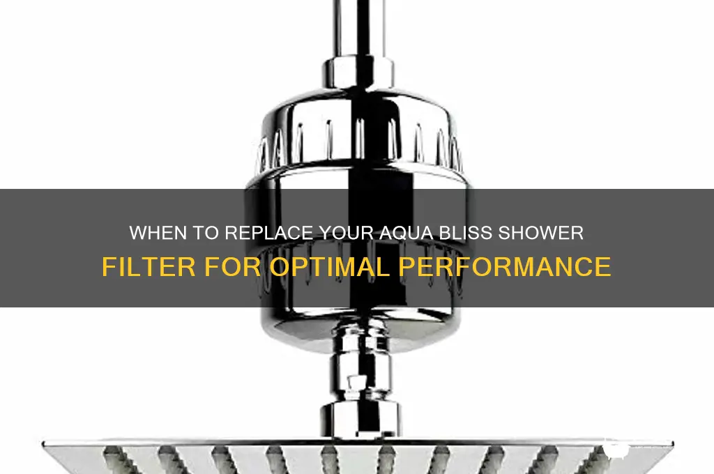 how often replace aqua bliss shower filter