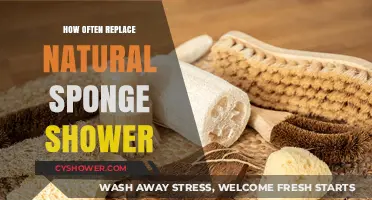 When to Replace Your Natural Shower Sponge for Optimal Hygiene