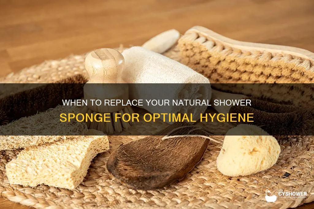 how often replace natural sponge shower