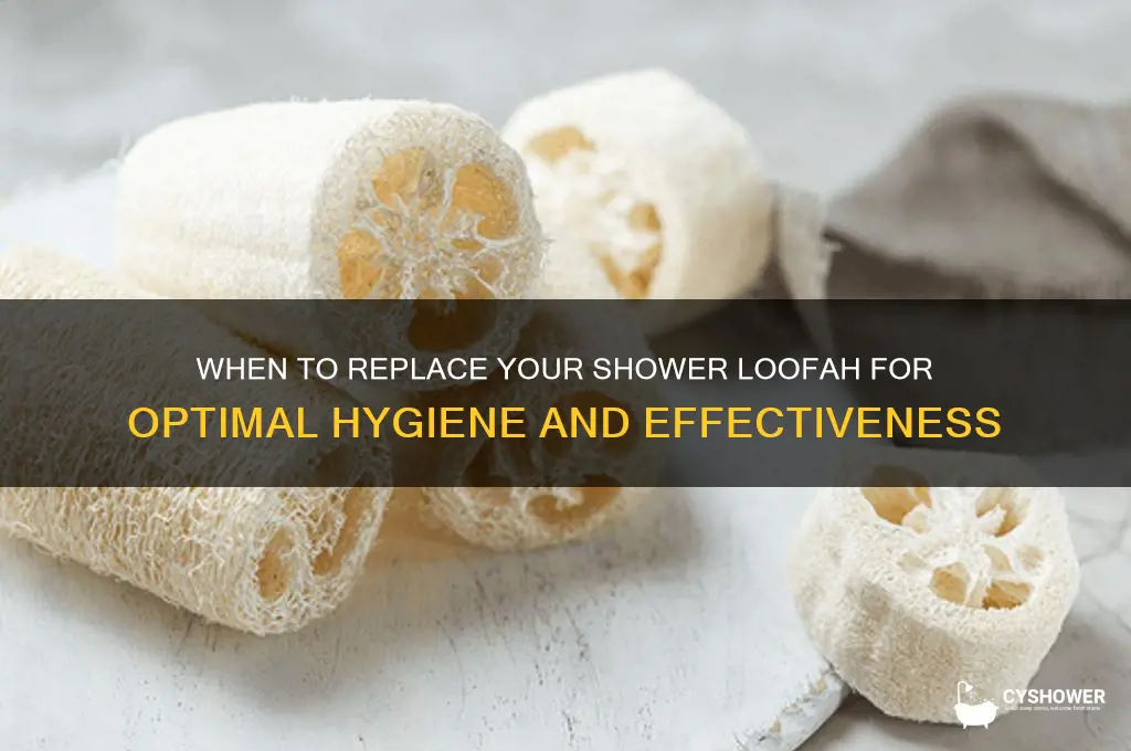 how often should i replace a shower loofah