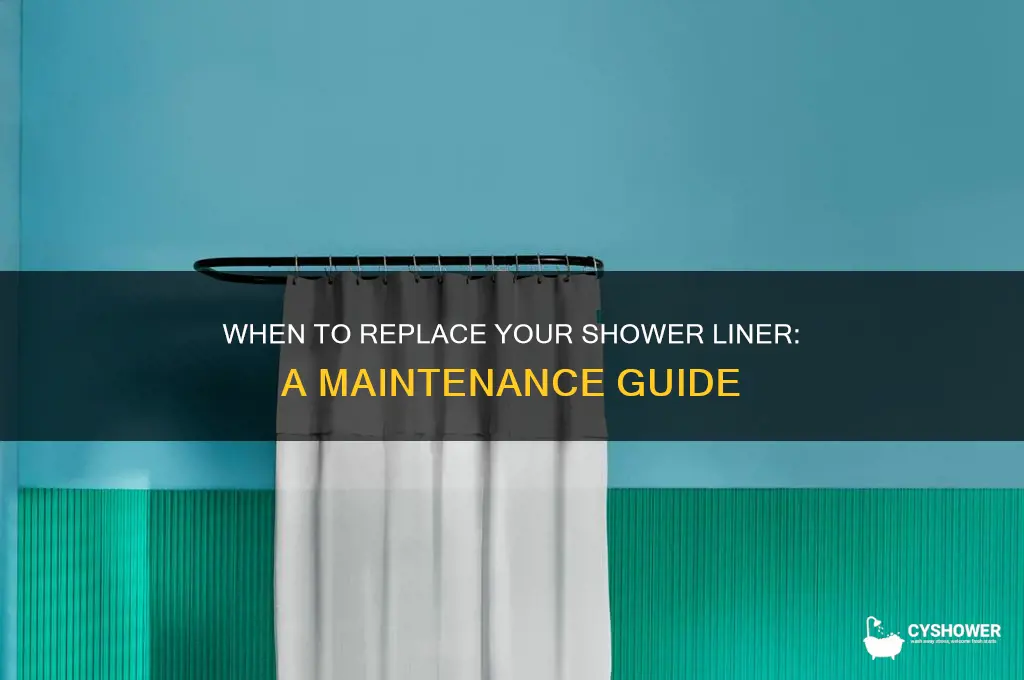 how often should i replace my shower lkiner