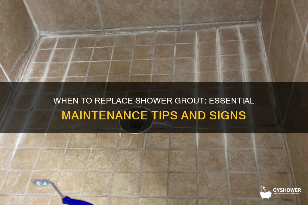 how often should shower grout be replaced