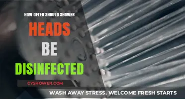 Keeping Your Shower Head Clean: Disinfection Frequency for Optimal Hygiene