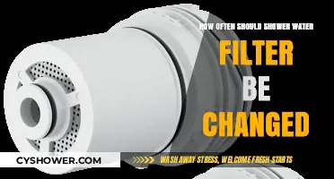 When to Replace Your Shower Water Filter for Optimal Performance
