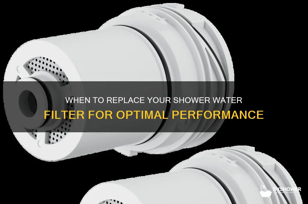 how often should shower water filter be changed