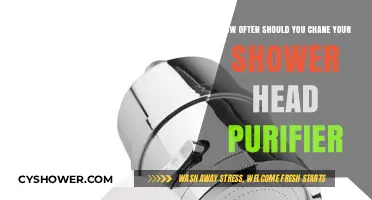 Optimal Shower Head Purifier Replacement: Frequency and Maintenance Tips