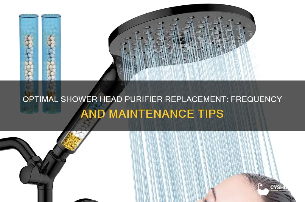 how often should you chane your shower head purifier