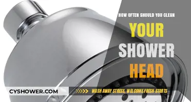 How Often Should You Clean Your Shower Head?