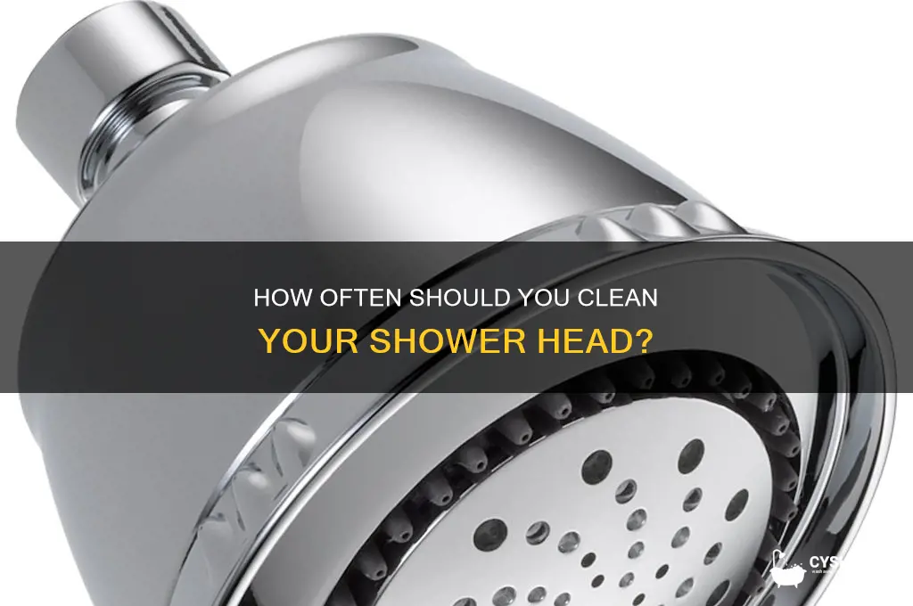 how often should you clean your shower head