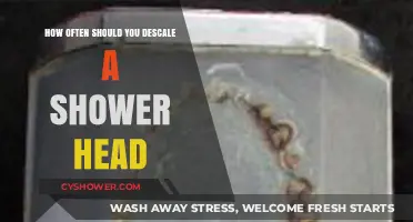 Descaling Your Shower Head: Optimal Frequency for Clean Water Flow