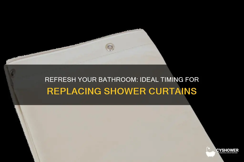 how often should you get a new shower curtain