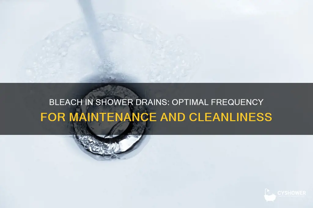 how often should you pour bleach into shower drain