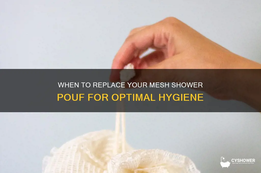 how often should you replace a mesh shower pouf