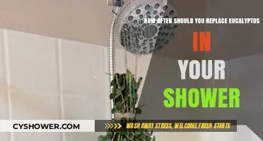 Refresh Your Shower: Ideal Eucalyptus Replacement Frequency for Spa Vibes