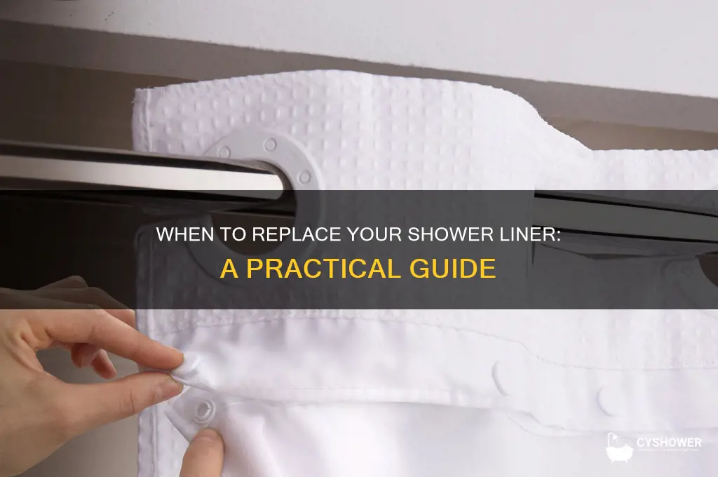 how often should you replace your shower liner