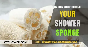 When to Replace Your Shower Sponge for Optimal Hygiene and Cleanliness
