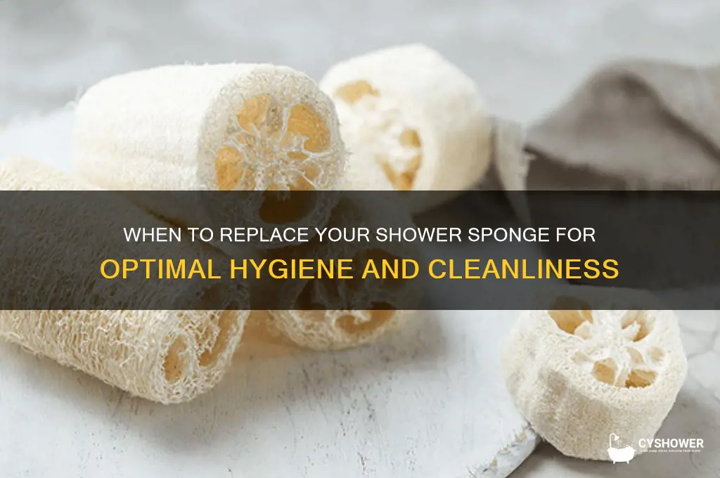 how often should you replace your shower sponge