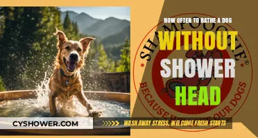 Bathing Your Dog Without a Shower Head: Frequency and Tips