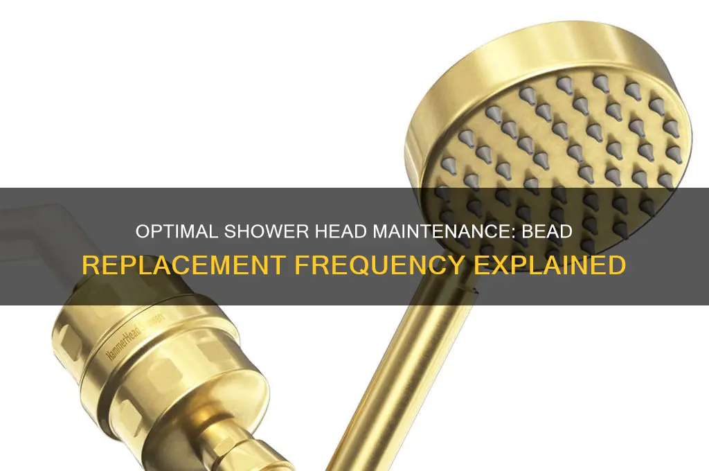 how often to change beads in shower head