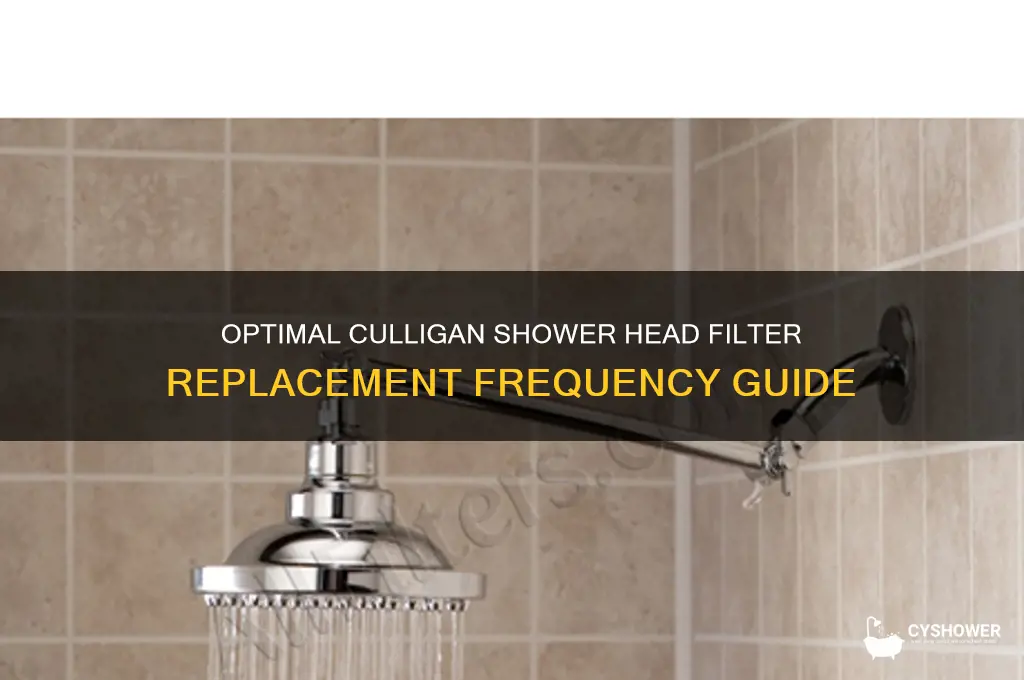 how often to change culligan shower head filter