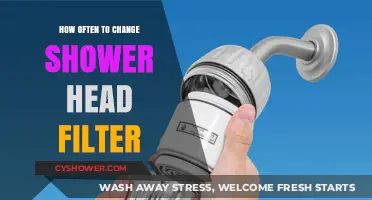 Optimal Shower Head Filter Replacement Frequency for Clean Water
