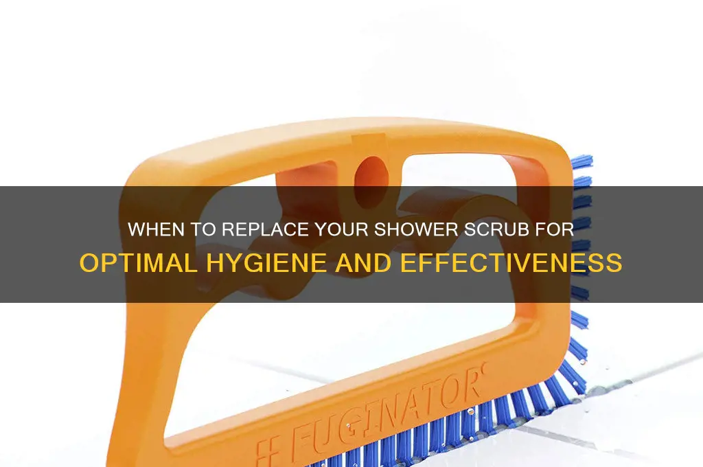 how often to replace a shower scrub
