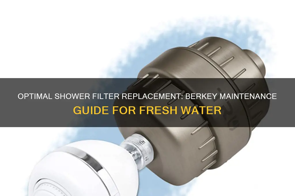 how often to replace berkey shower filter