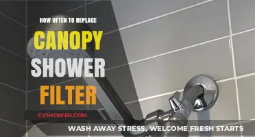 Optimal Shower Filter Replacement: How Often to Change Canopy Filters