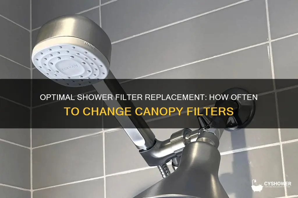 how often to replace canopy shower filter