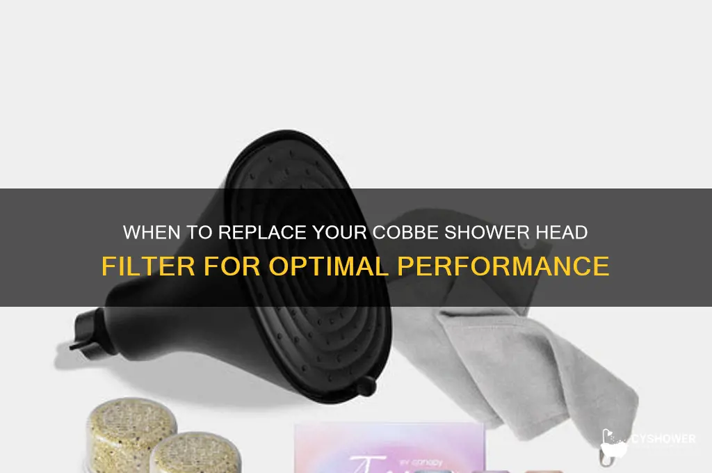 how often to replace cobbe shower head filter