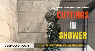 Refresh Your Shower: Optimal Eucalyptus Cutting Replacement Frequency Guide