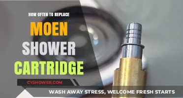 When to Replace Your Moen Shower Cartridge: A Maintenance Guide
