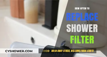 Optimal Shower Filter Replacement Frequency for Clean, Healthy Water
