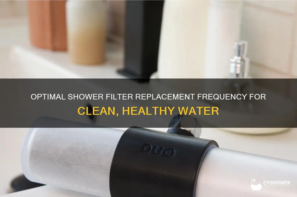 how often to replace shower filter