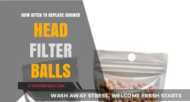 When to Replace Shower Head Filter Balls for Optimal Performance
