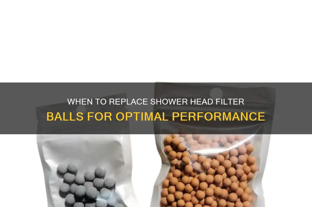 how often to replace shower head filter balls