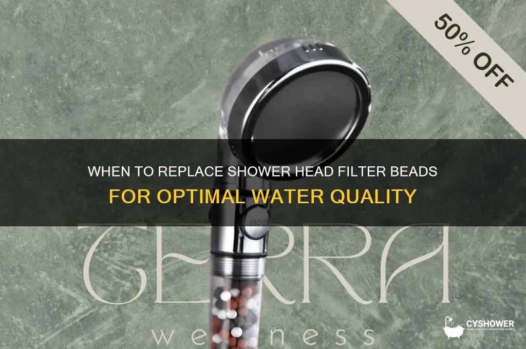 how often to replace shower head filter beads