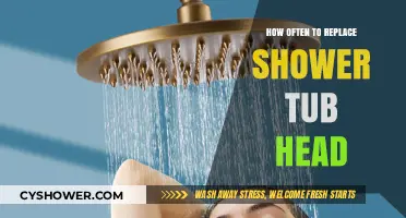 When to Replace Your Shower Head: A Maintenance Guide