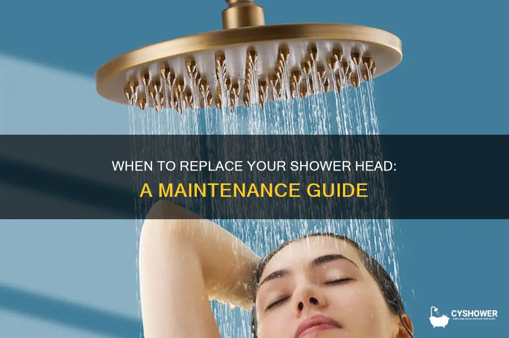 how often to replace shower tub head