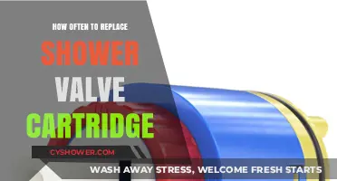 When to Replace Your Shower Valve Cartridge: A Maintenance Guide