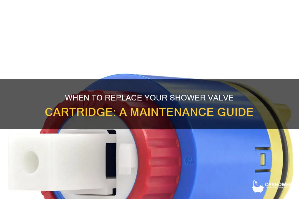 how often to replace shower valve cartridge