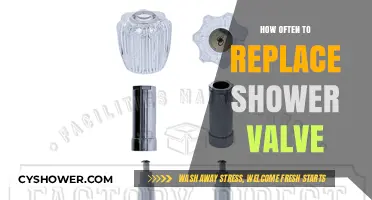When to Replace Your Shower Valve: A Maintenance Guide