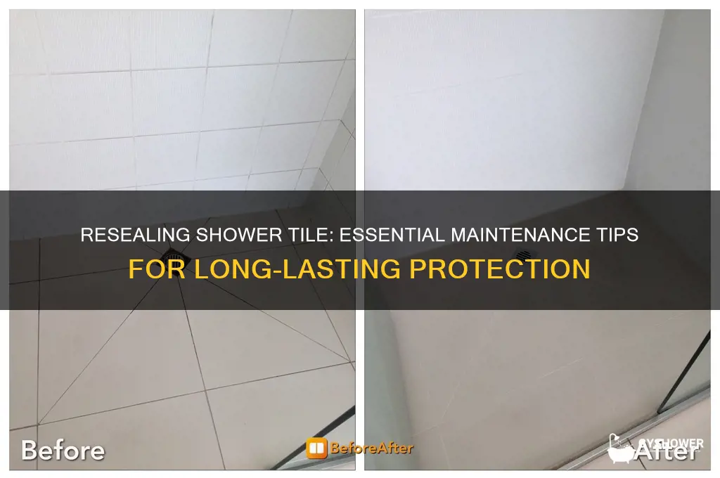 how often to reseal shower tile